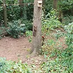 Bosbungalow De Eekhoorn * 宁斯佩特
