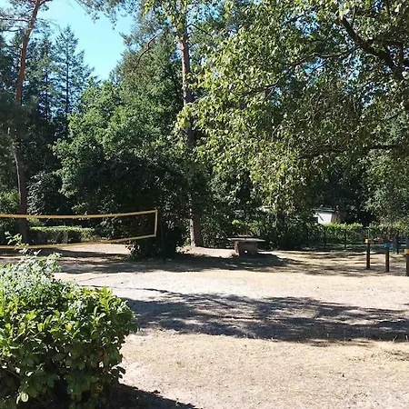 Chalet Bosbungalow De Eekhoorn *