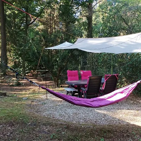 Chalet Bosbungalow De Eekhoorn *