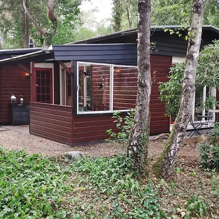 Bosbungalow De Eekhoorn Nunspeet