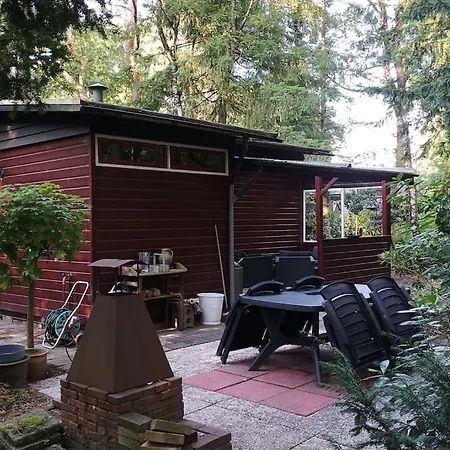 Bosbungalow De Eekhoorn Chalet *