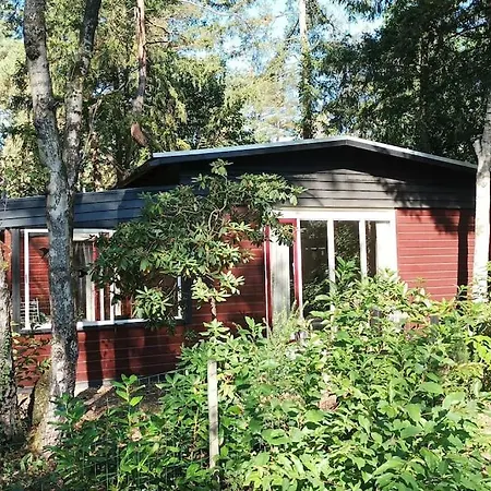 Bosbungalow De Eekhoorn Chalet *