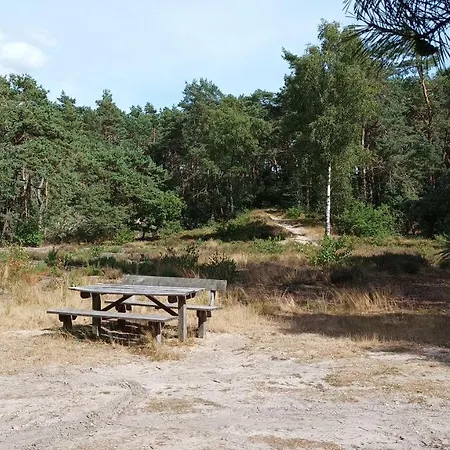 Bosbungalow De Eekhoorn Nunspeet