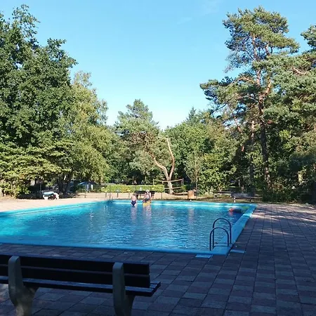 Bosbungalow De Eekhoorn * Nunspeet