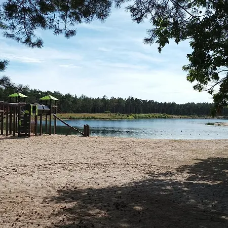 Bosbungalow De Eekhoorn