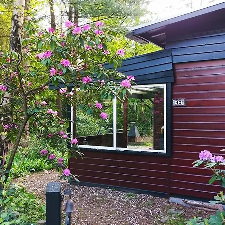 Bosbungalow De Eekhoorn * Nunspeet