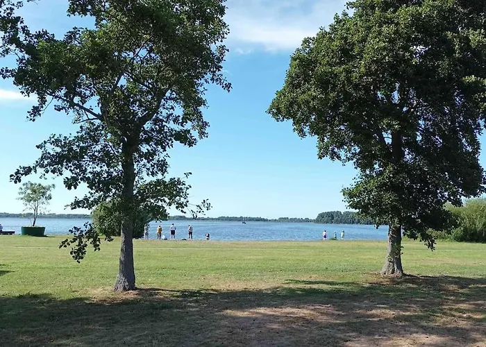 Chalet Bosbungalow De Eekhoorn *