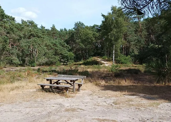 Bosbungalow De Eekhoorn Nunspeet