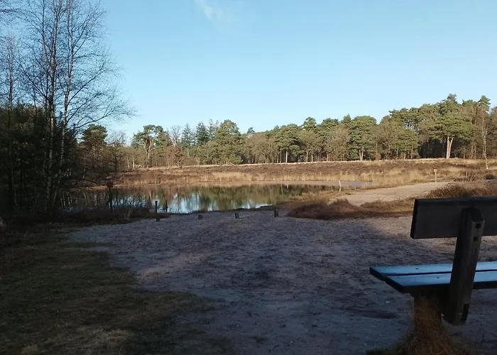 Bosbungalow De Eekhoorn Chalet *