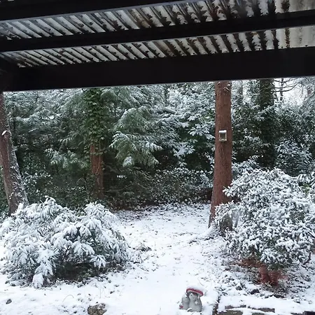 Chalet Bosbungalow De Eekhoorn *