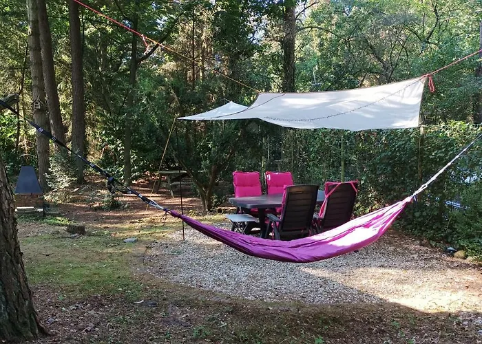 Chalet Bosbungalow De Eekhoorn *