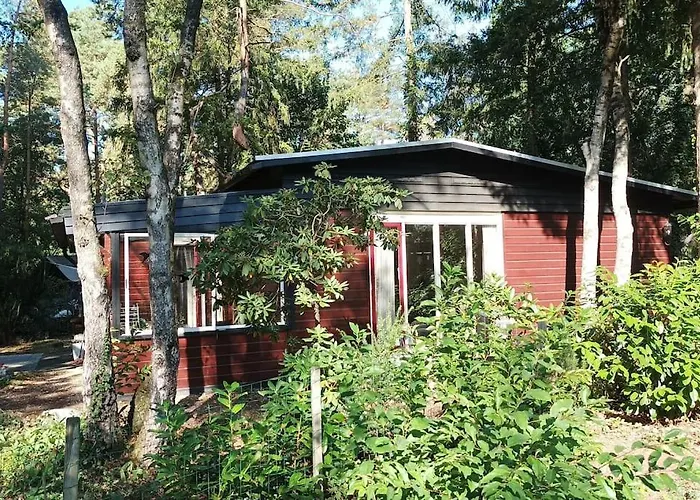 Bosbungalow De Eekhoorn Chalet *