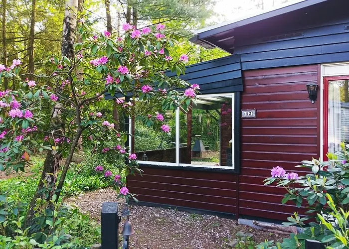 Bosbungalow De Eekhoorn * Nunspeet