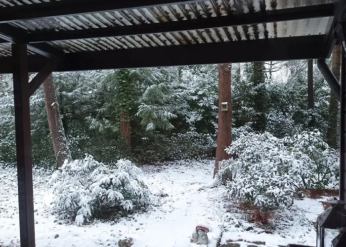 Chalet Bosbungalow De Eekhoorn *